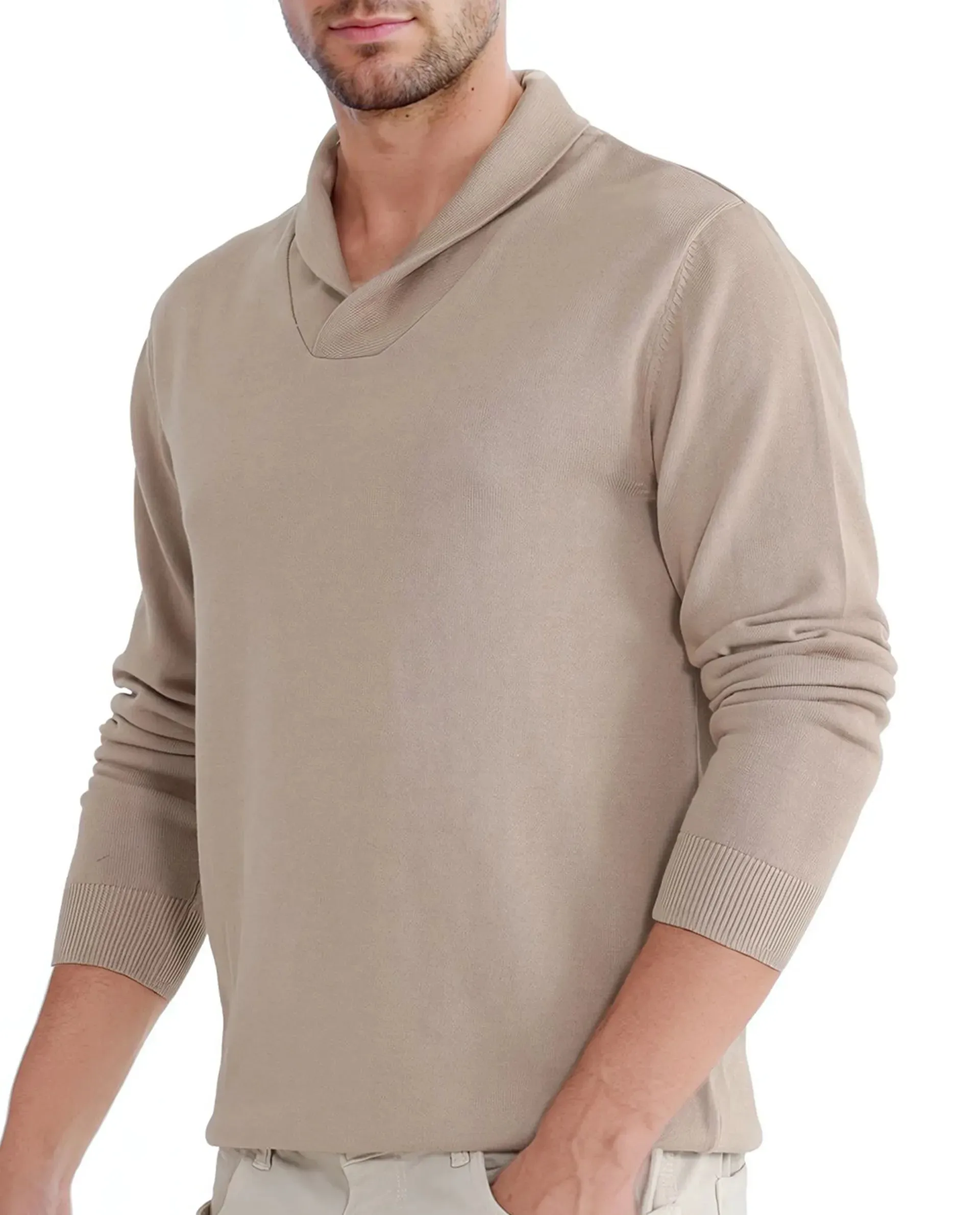 Rare Rabbit Men's Kenlay Beige Full Sleeve Collarless Regular Fit Plain Sweater